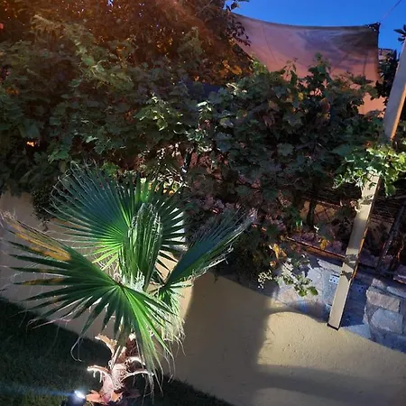 Casa Dana Nur Ab 31 Tage