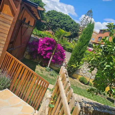 Casa Dana Nur Ab 31 Tage *